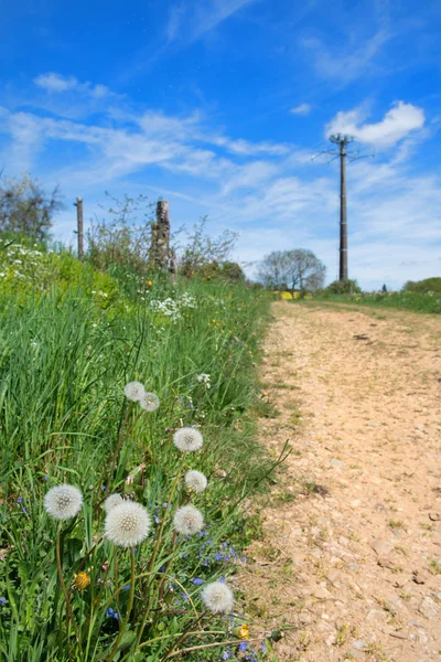 Landschap Franse Limousin — Stockfoto