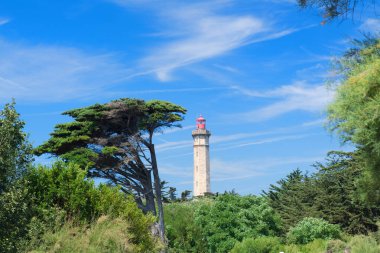 Ile de Re deniz feneri Phare des Baleines