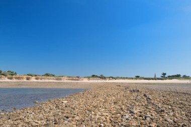 Plaj Ile de Re ebb ty