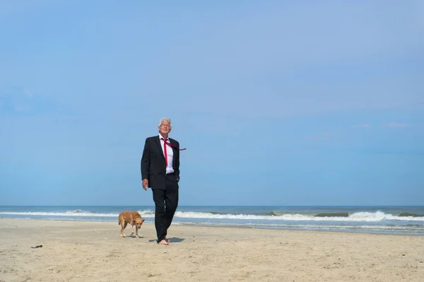 Üzletember kutyával a strandon — Stock Fotó