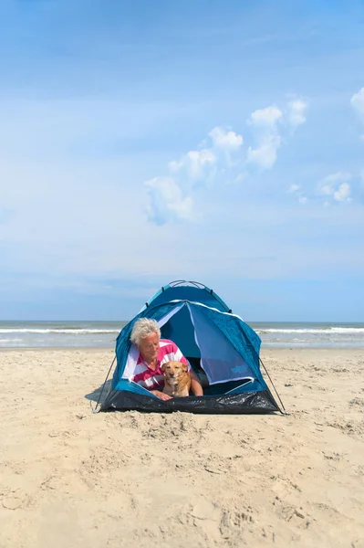 Man with dog camping in shelter at the beach