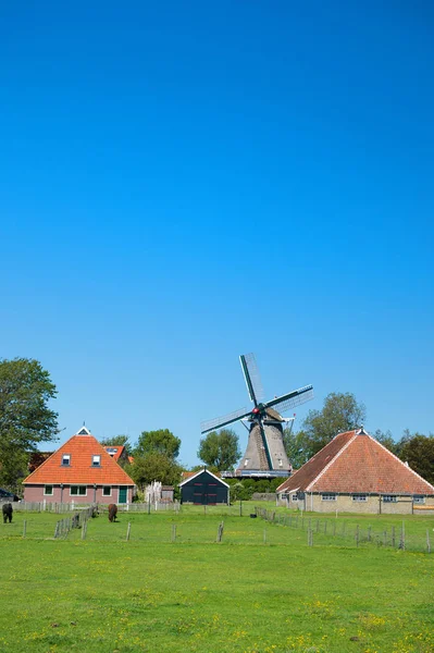 Paisaje holandés típico — Foto de Stock