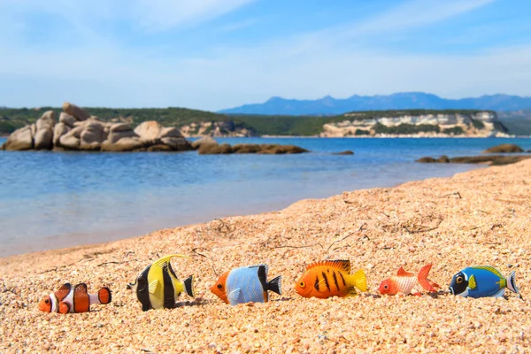 Corsica paesaggio balneare con pesci — Foto Stock