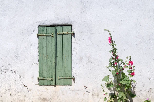 Ile de re hollyhocks — Fotografia de Stock