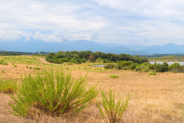 Landscape at island Corsica in France — Stock Photo, Image