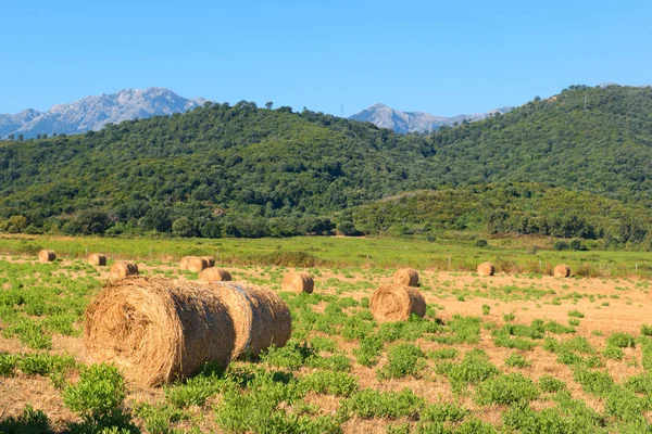 Landscape east coast French Corsica — Stock Photo, Image