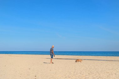 Korsika Sahili İnsan ve köpeklerle dolu