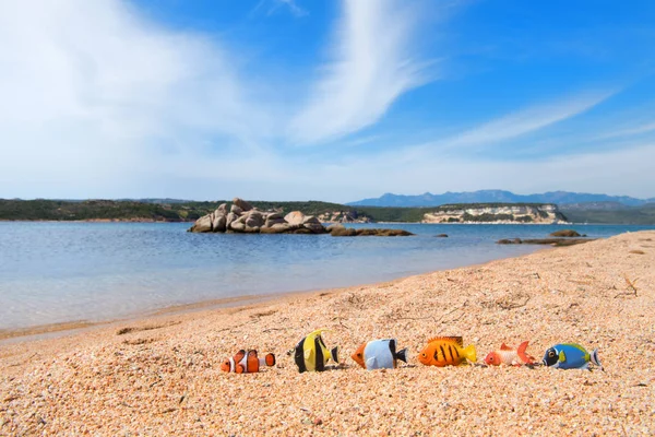 Corsica beach landscape with fishes — Stock Photo, Image