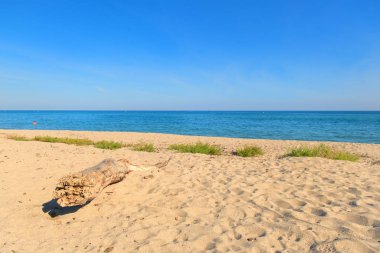 Korsika plaj manzarası