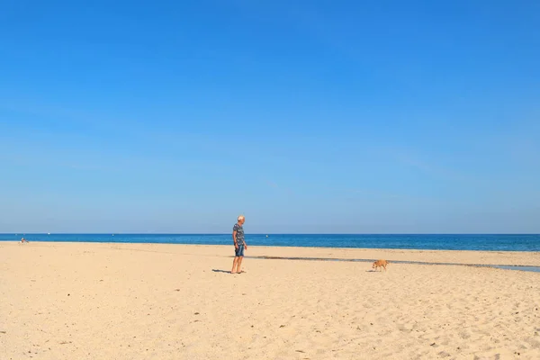 Korsika plážová krajina s mužem a psem — Stock fotografie