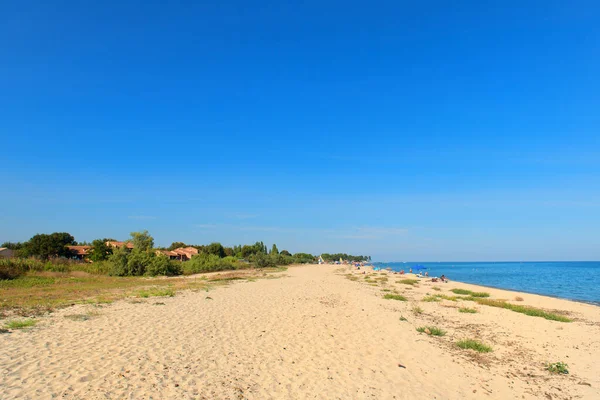 Corsica Strand Landschap Oostkust Met Boomstam — Stockfoto