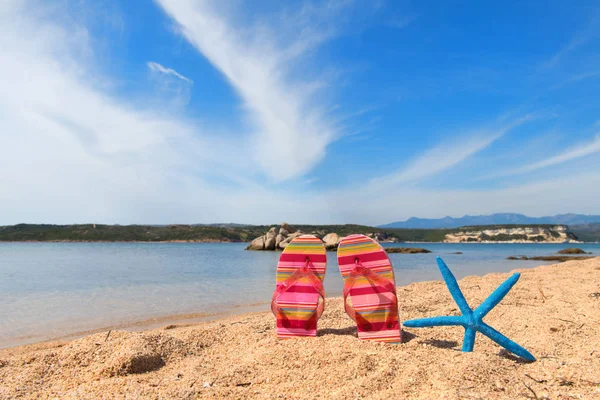 Playa Córcega Con Chanclas Colores Estrellas Mar Cerca Del Agua — Foto de Stock