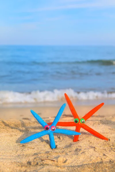 Vtipné Barevné Hvězdy Ryby Pláži — Stock fotografie