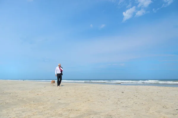 正式なスーツを着たビジネスマンがビーチで犬を歩く — ストック写真