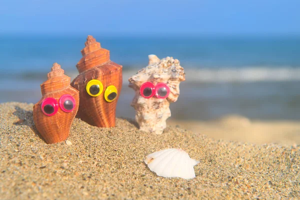 Funny Shells Eyes Beach Sea Background — Stock Photo, Image