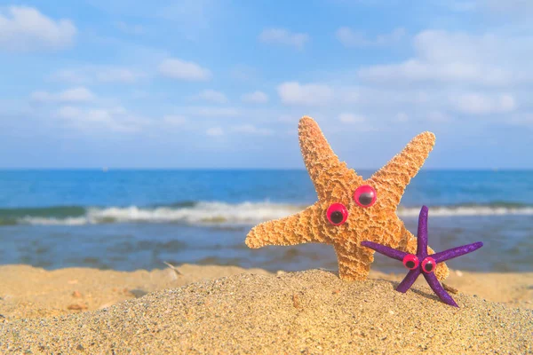 Legrační Hvězda Ryby Očima Pláži Mořem Pozadí — Stock fotografie