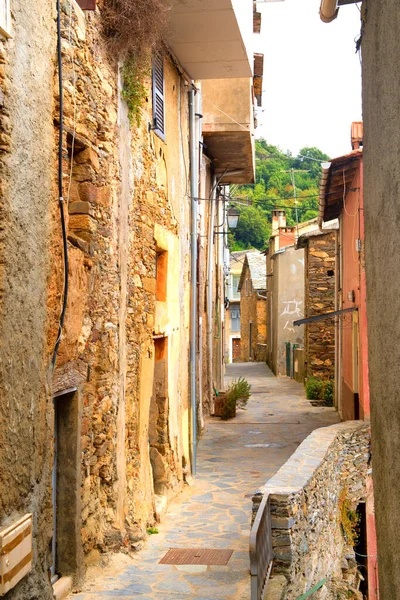 Mirando Través Little Lane Pueblo Francés Casinca — Foto de Stock