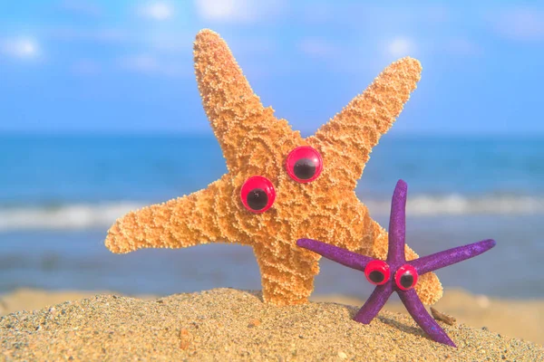 Divertenti Pesci Stella Con Gli Occhi Sulla Spiaggia Con Mare — Foto Stock