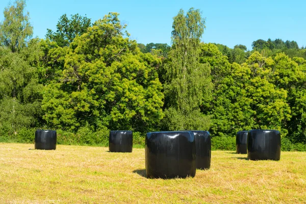 Eingewickelte Heuballen Der Agrarlandschaft — Stockfoto