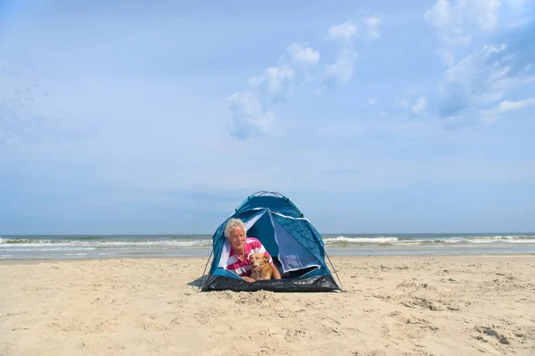 Single senior man with his dog camping in shelter at the beach