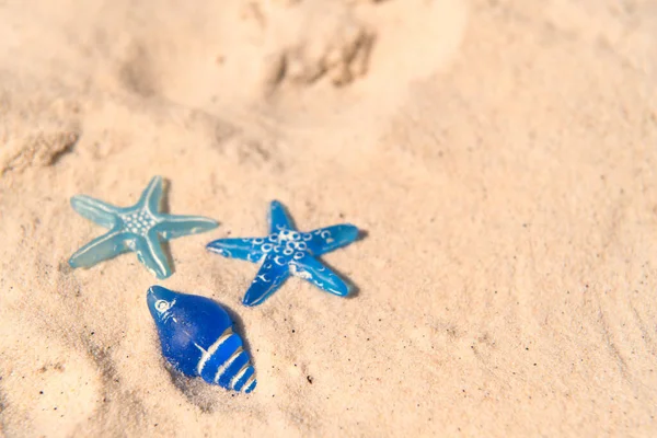 Mavi Yıldız Kumsalda Kumsalda Balık Tutuyor — Stok fotoğraf