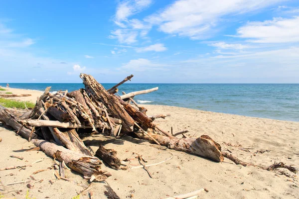 Costa Córcega Francesa Con Muchos Restos Basura — Foto de Stock