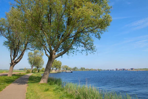 Landschaft Holländischer Fluss Haarlem Blick Auf Dorf Spaarndam — Stockfoto