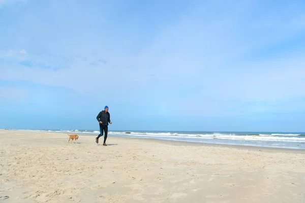 Sağlıklı Kıdemli Bir Adam Köpekle Sahilde Koşuyor — Stok fotoğraf