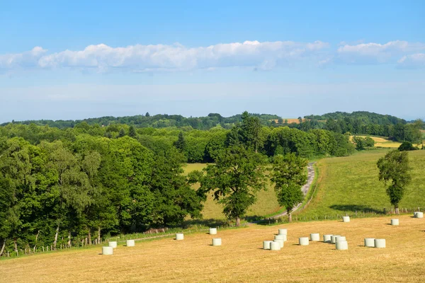 Landschaft Grüne Hügel Der Französischen Nouvelle Aquitaine — Stockfoto