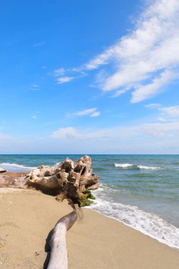 Enkazı olan Fransız Korsika kıyıları