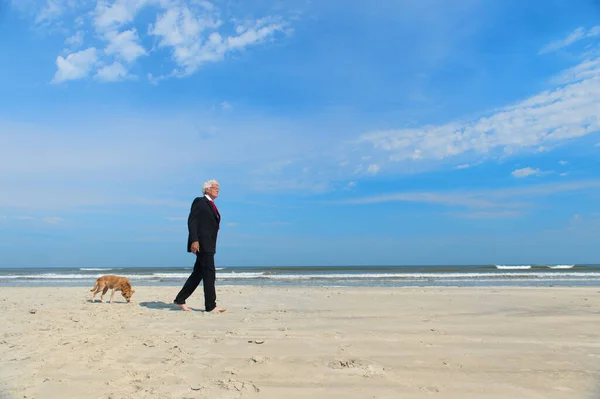 Biznes Człowiek Formalny Garnitur Chodzenie Jego Pies Plaża — Zdjęcie stockowe