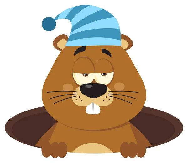 Vecteurs pour Marmot, Illustrations libres de droits pour Marmot