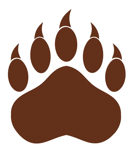 Brown Bear Paw met klauwen. — Stockvector