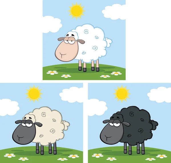 Kara ve beyaz koyunlar — Stok Vektör
