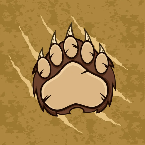 Patte d'ours brun avec griffes . — Image vectorielle