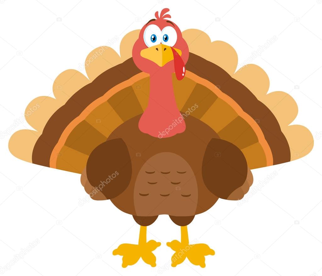 Turkey Bird Cartoon Character