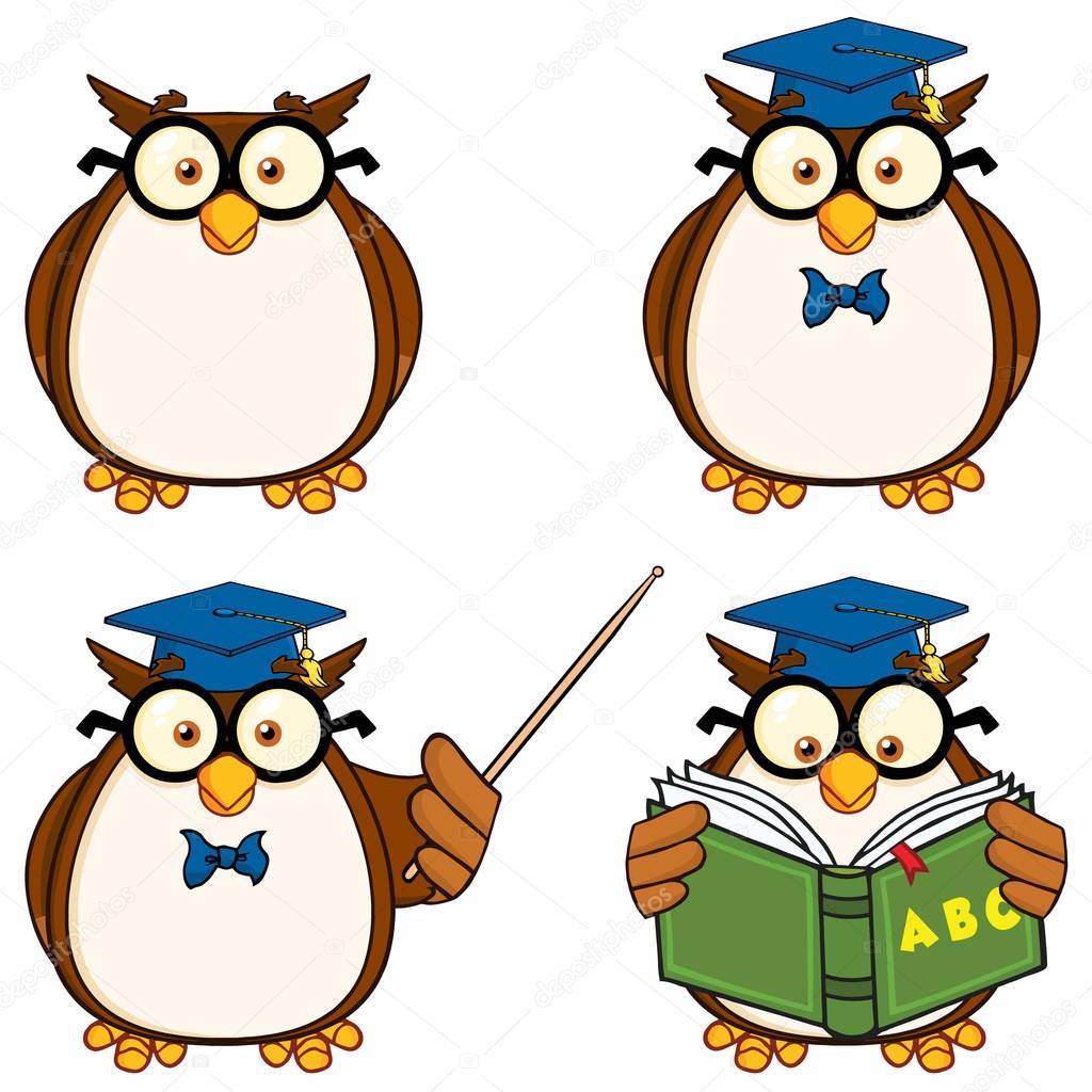 Cute Owl Cartoon Mascot Character 