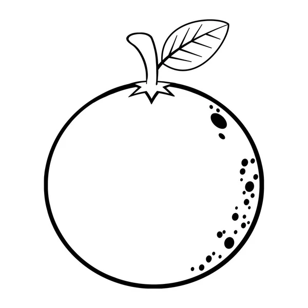 Icono de contorno de fruta naranja — Vector de stock