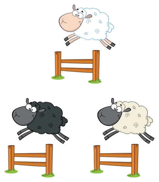 Zwart-wit schapen — Stockvector
