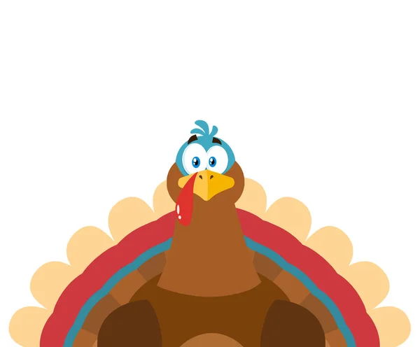 Thanksgiving Türkei Cartoon Maskottchen Charaktere Vektor Illustration — Stockvektor