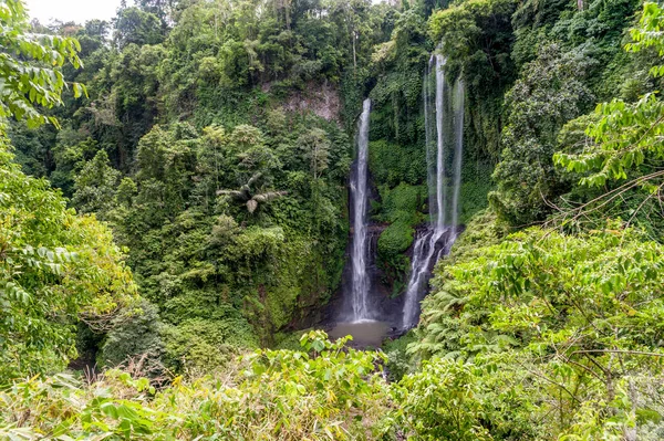 Sekumpul Waterfall view — Stock Photo, Image