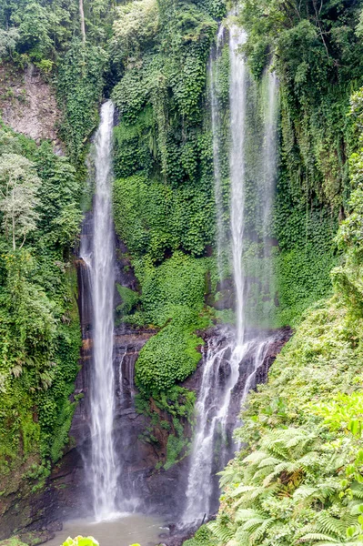 Sekumpul Vista da cachoeira — Fotografia de Stock