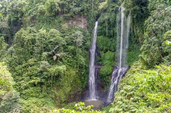 Sekumpul Waterfall view — Stock Photo, Image