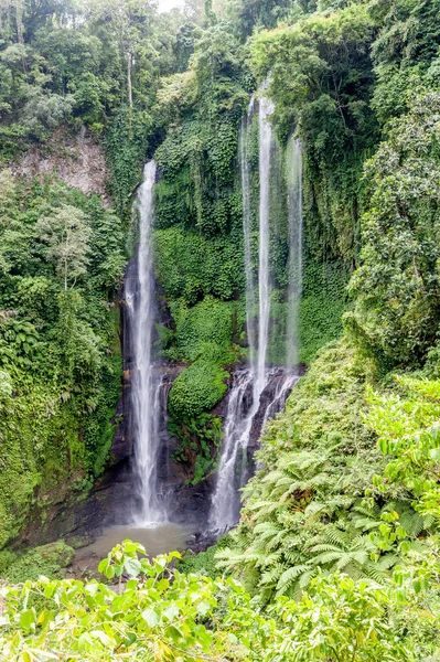 Sekumpul Waterfall view — Stock Photo, Image