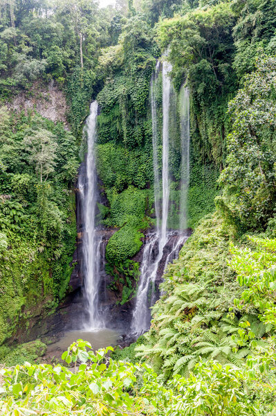 Sekumpul Waterfall view