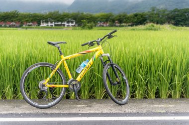 Paddy alan bisiklet ile