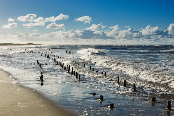 Groynes op de kust van de Baltische Zee — Stockfoto