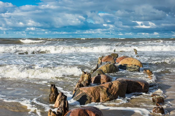 Groynes on shore of the Baltic Sea — Stock Photo, Image