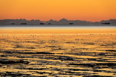 Sunrise Adası Amrum üzerinde Kuzey Denizi kıyısında