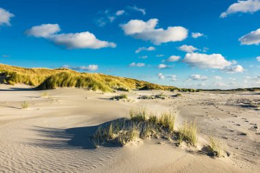 Dunes on the North Sea coast on the island Amrum clipart